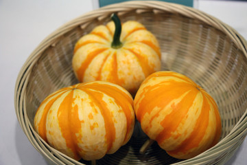 小南瓜 金瓜