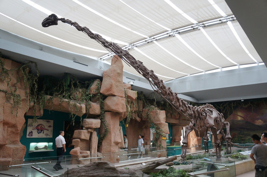 甘肃省博物院恐龙化石