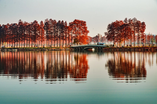 东湖绿道