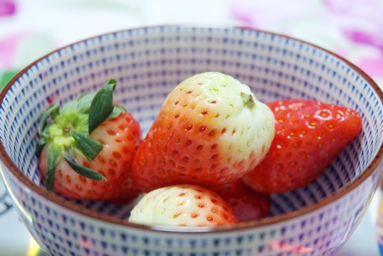一碗红草莓