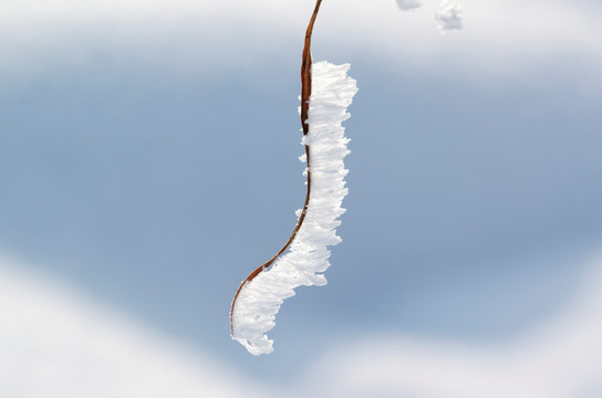 雪花