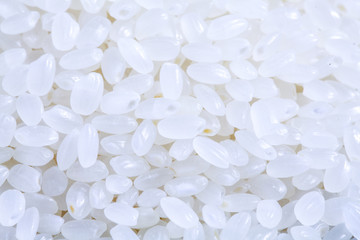 大米 稻米 珍珠米