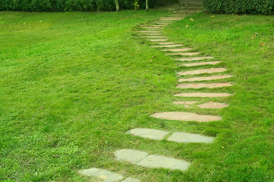 公路绿化带景观 石板路 草坪