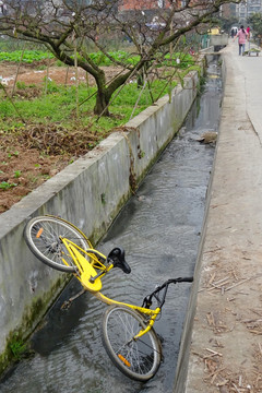 共享单车 丢弃水沟