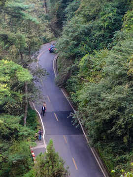 森林公路