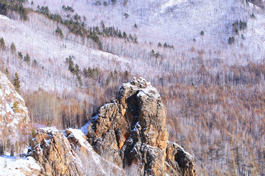 巨石与林海雪原