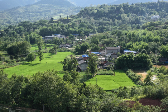 田野山地