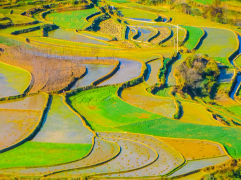 梯田风光