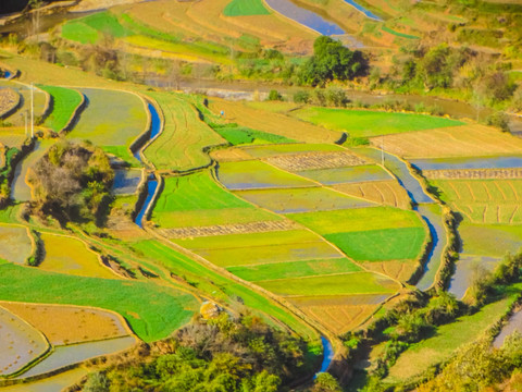 田园风光