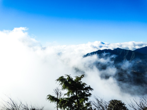 高山云雾