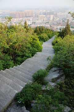 淮北相山 山路