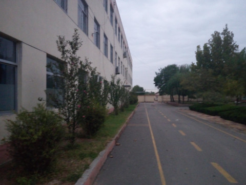 蔡寨中心校道路