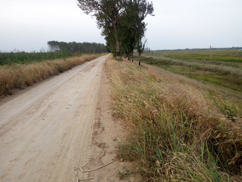 道路