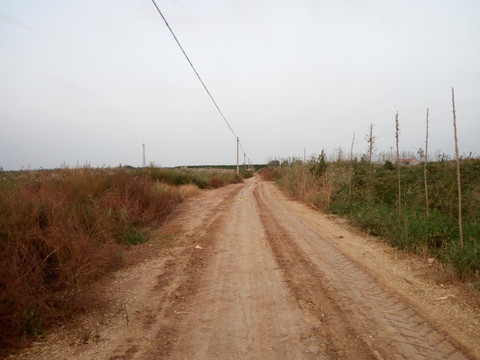 道路