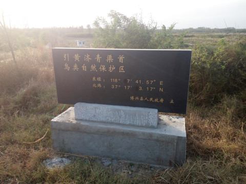 石碑