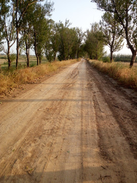 农村的道路