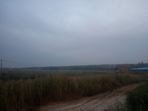 黎明的天空