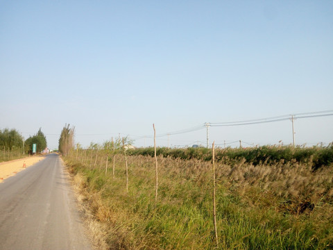 农村的道路
