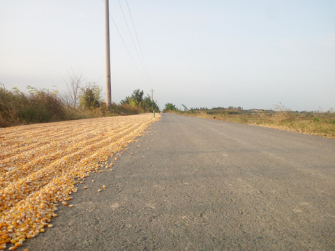 乡村公路