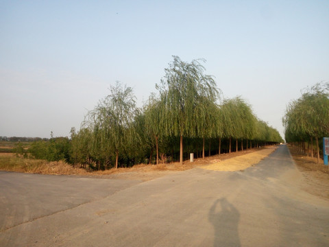 乡间小路