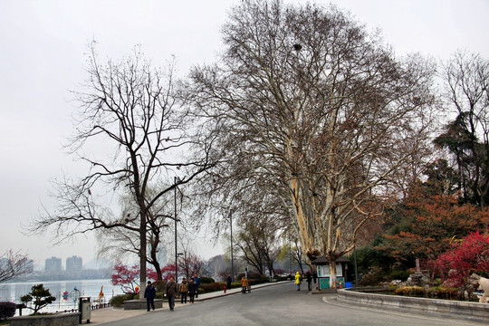 南京 冬日 玄武湖公园