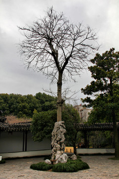 南京 金陵第一园 瞻园