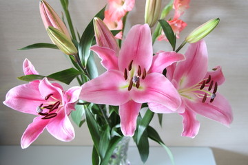 百合花