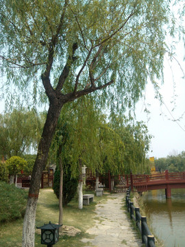 清明上河园