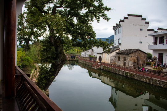琶塘美丽乡村15