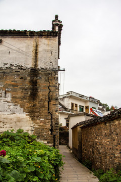 琶塘美丽乡村18