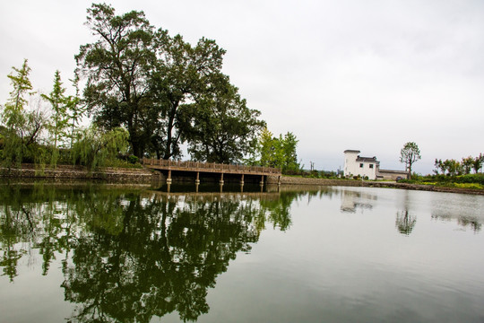 琶塘美丽乡村41