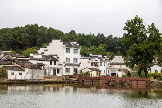琶塘美丽乡村51