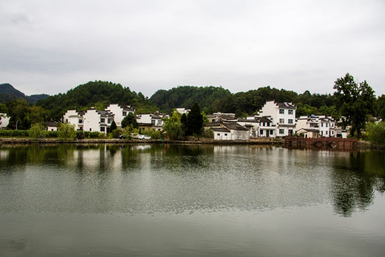 琶塘美丽乡村53