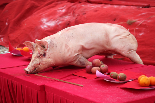 猪 水果 上香 贡品 祭品
