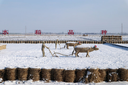 稻草雕塑艺术 蒙古草原