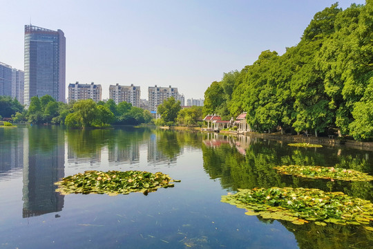 合肥工业大学