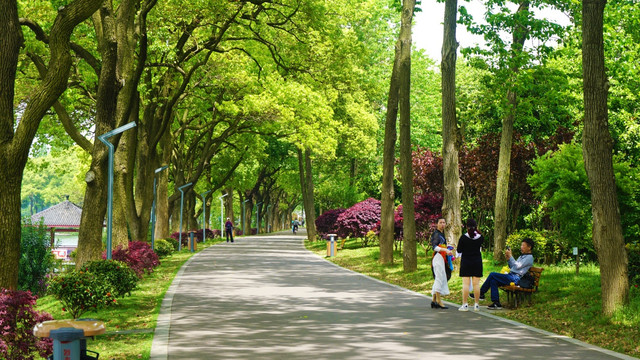 湖南烈士公园健康步道