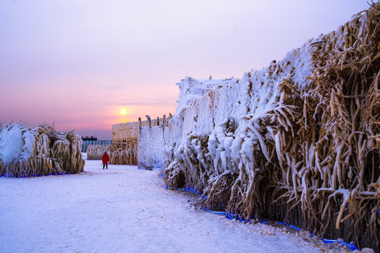 雪景 雪地