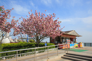 青岛 海水浴场 海滨公园