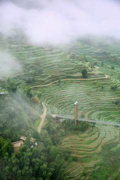 仙境 梯田