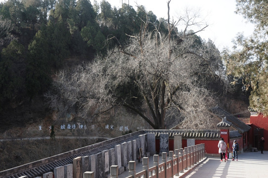 风穴寺