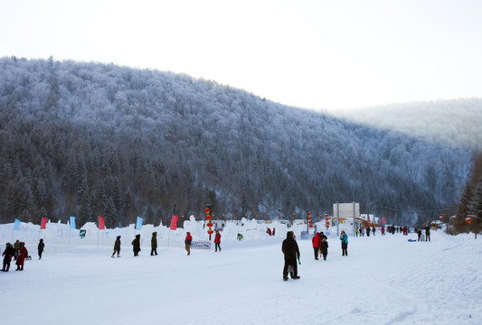 雪乡风光 羊草山