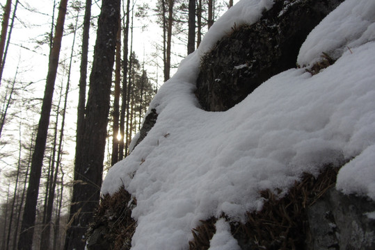 银雪世界