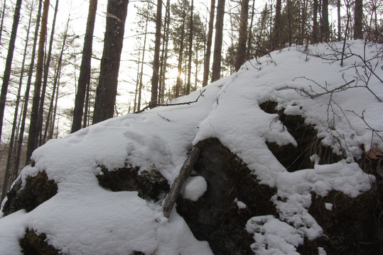 银雪世界