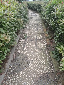 公园步道