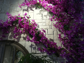 花背景墙