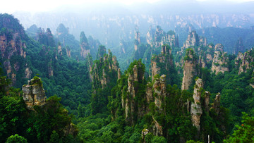 天子山风景