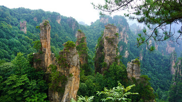 天子山风景