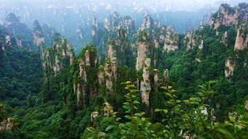 天子山风景