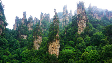 天子山景区
